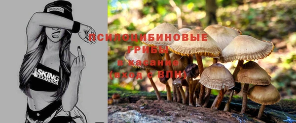 мет Баксан