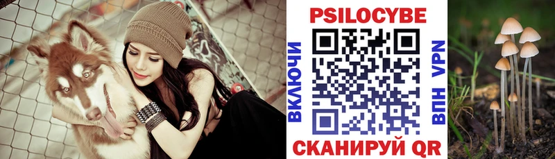 Псилоцибиновые грибы мицелий  Кувшиново 